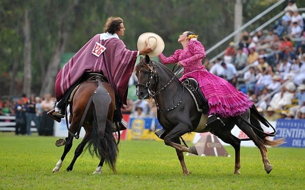 Peruvian horses