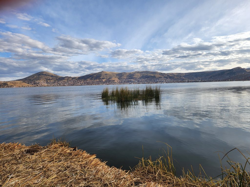 Reeds of Lake Titicaca