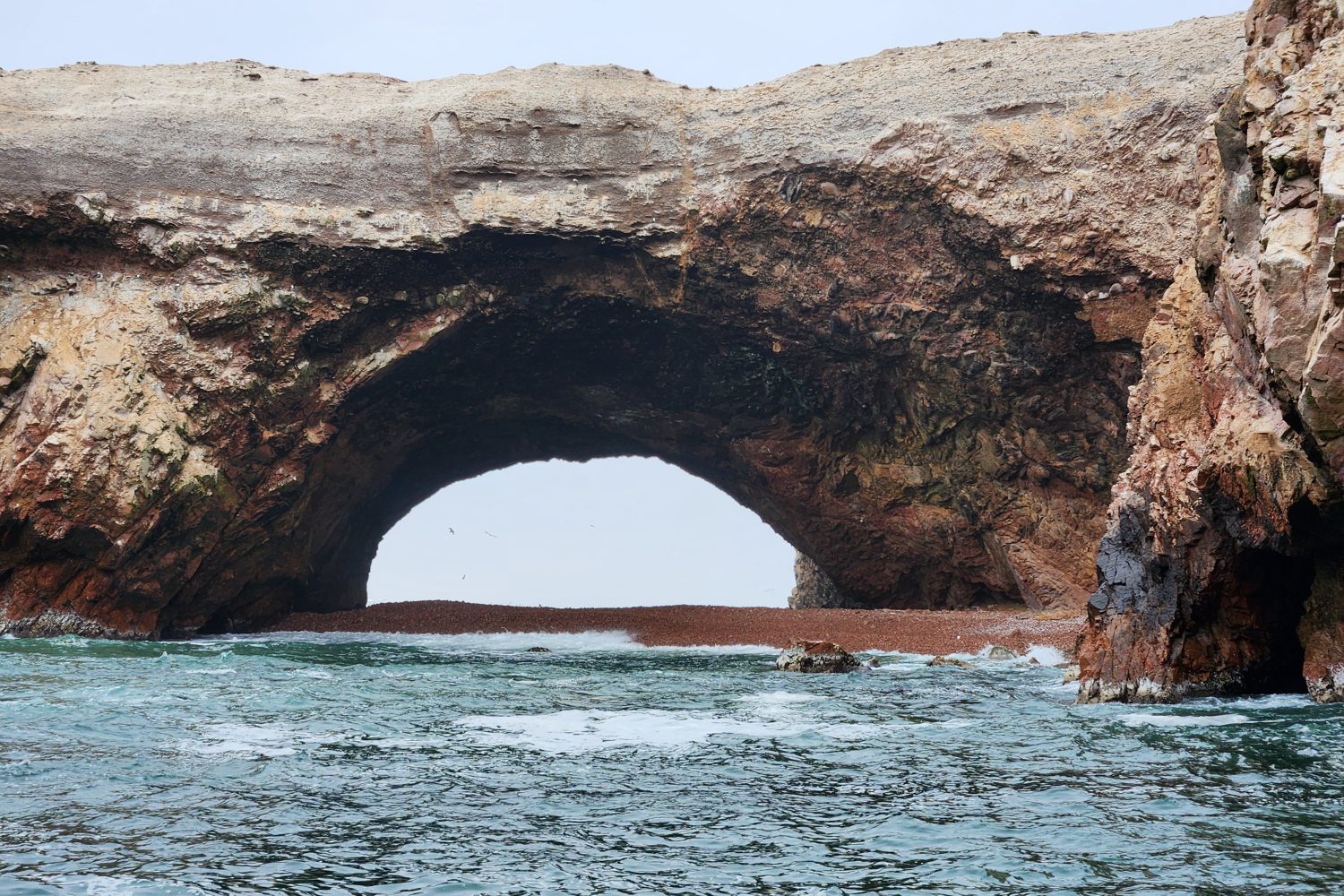 Ballestas Islands, Paracas