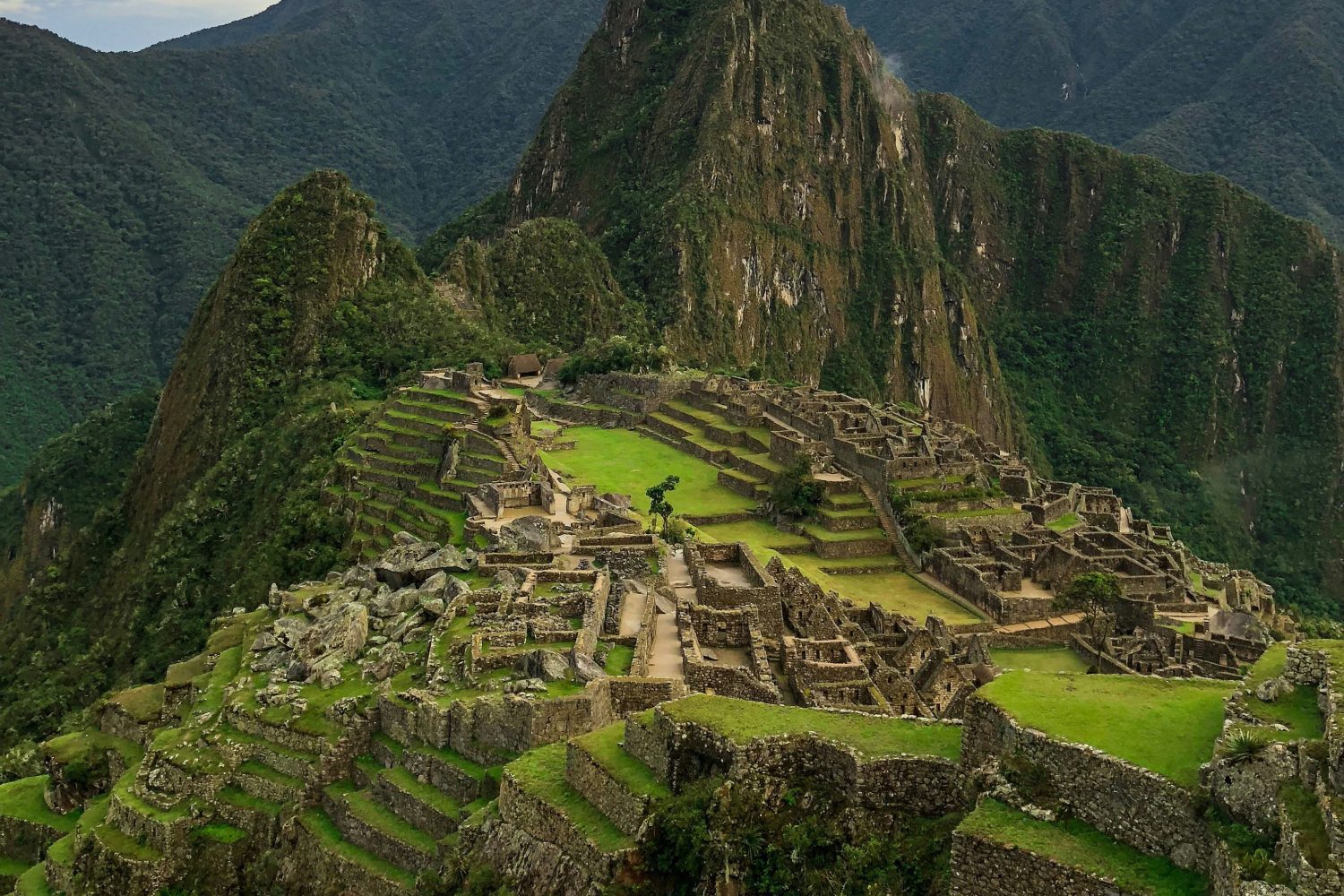 Machu Picchu in The Cloud Forest