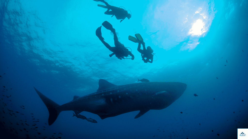 Galapagos 6 day Tour Package