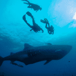 Galapagos 6 day Tour Package